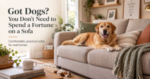 Got Dogs? You don’t need to spend a fortune on a Sofa